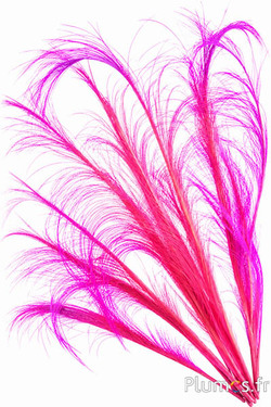 Fazant Hoki - 45-50 cm - roze-fuchsia